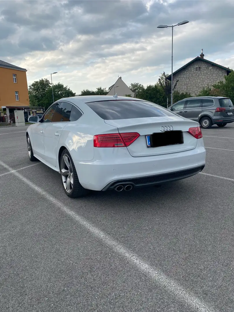 Audi A5 SB 2,0 TDI quattro Sport DPF S-tronic Weiß - 2