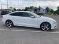 Audi A5 SB 2,0 TDI quattro Sport DPF S-tronic Weiß - thumbnail 4
