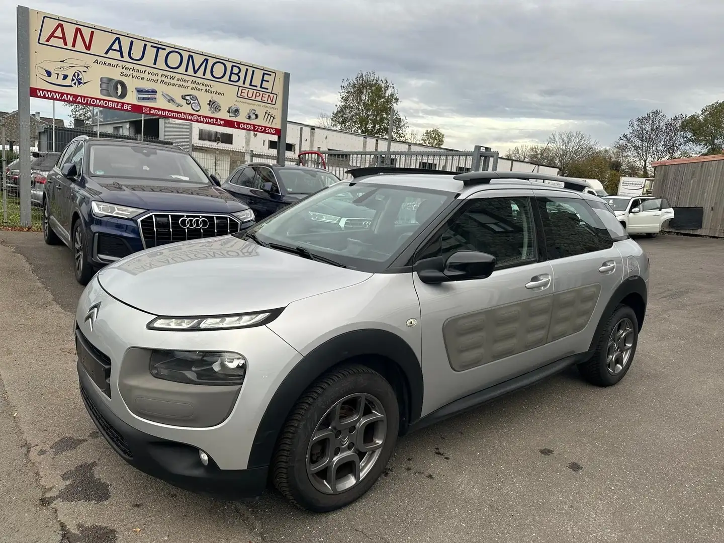 Citroen C4 Cactus Gris - 1