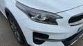 Kia XCeed 1.5 MHEV Tech Blanco - thumbnail 8