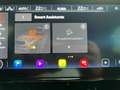 CUPRA Formentor 2.0 TDI 4D 5-JAHRE-GARANTIE Kamera AHK Grau - thumbnail 22