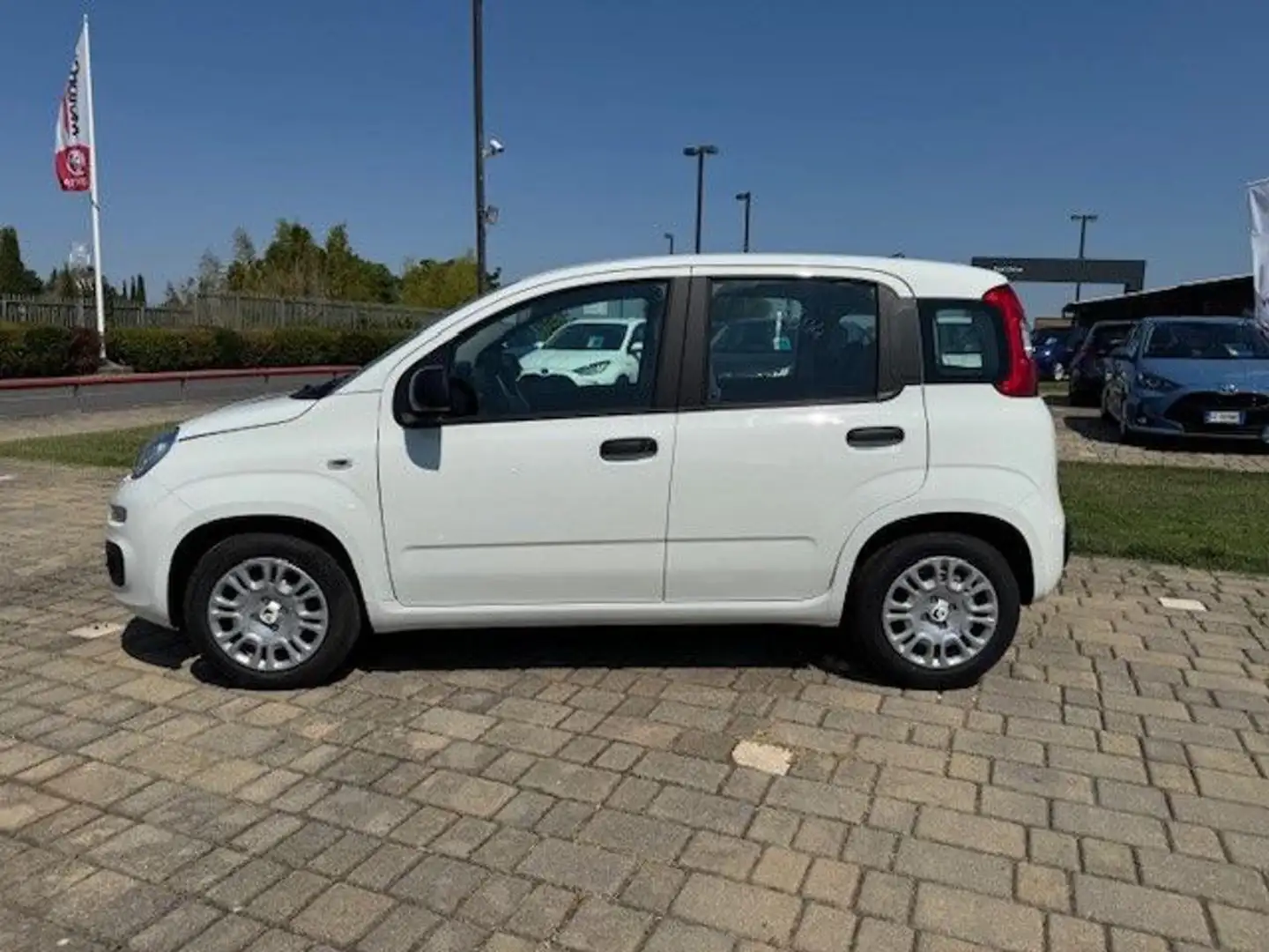 Fiat Panda 1.0 FireFly S&S Hybrid Bianco - 2