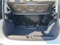 Fiat Panda 1.0 FireFly S&S Hybrid Bianco - thumbnail 7