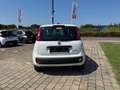Fiat Panda 1.0 FireFly S&S Hybrid Bianco - thumbnail 4