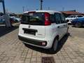 Fiat Panda 1.0 FireFly S&S Hybrid Bianco - thumbnail 3