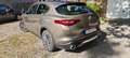 Alfa Romeo Stelvio Stelvio 2.2 Diesel 16V AT8 Executive Beige - thumbnail 1
