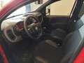 Fiat Panda Panda 1.0 FireFly S&S Hybrid Sport Rosso - thumbnail 10