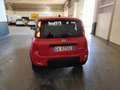 Fiat Panda Panda 1.0 FireFly S&S Hybrid Sport Rosso - thumbnail 8