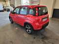 Fiat Panda Panda 1.0 FireFly S&S Hybrid Sport Rosso - thumbnail 6