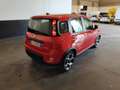 Fiat Panda Panda 1.0 FireFly S&S Hybrid Sport Rosso - thumbnail 7