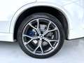 BMW X5 X5 xdrive30d Msport auto Bianco - thumbnail 15