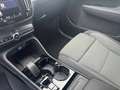 Volvo XC40 B4*Plus Dark*NP54850*ACC*AHK*BLIS*Keyless* Gris - thumbnail 10
