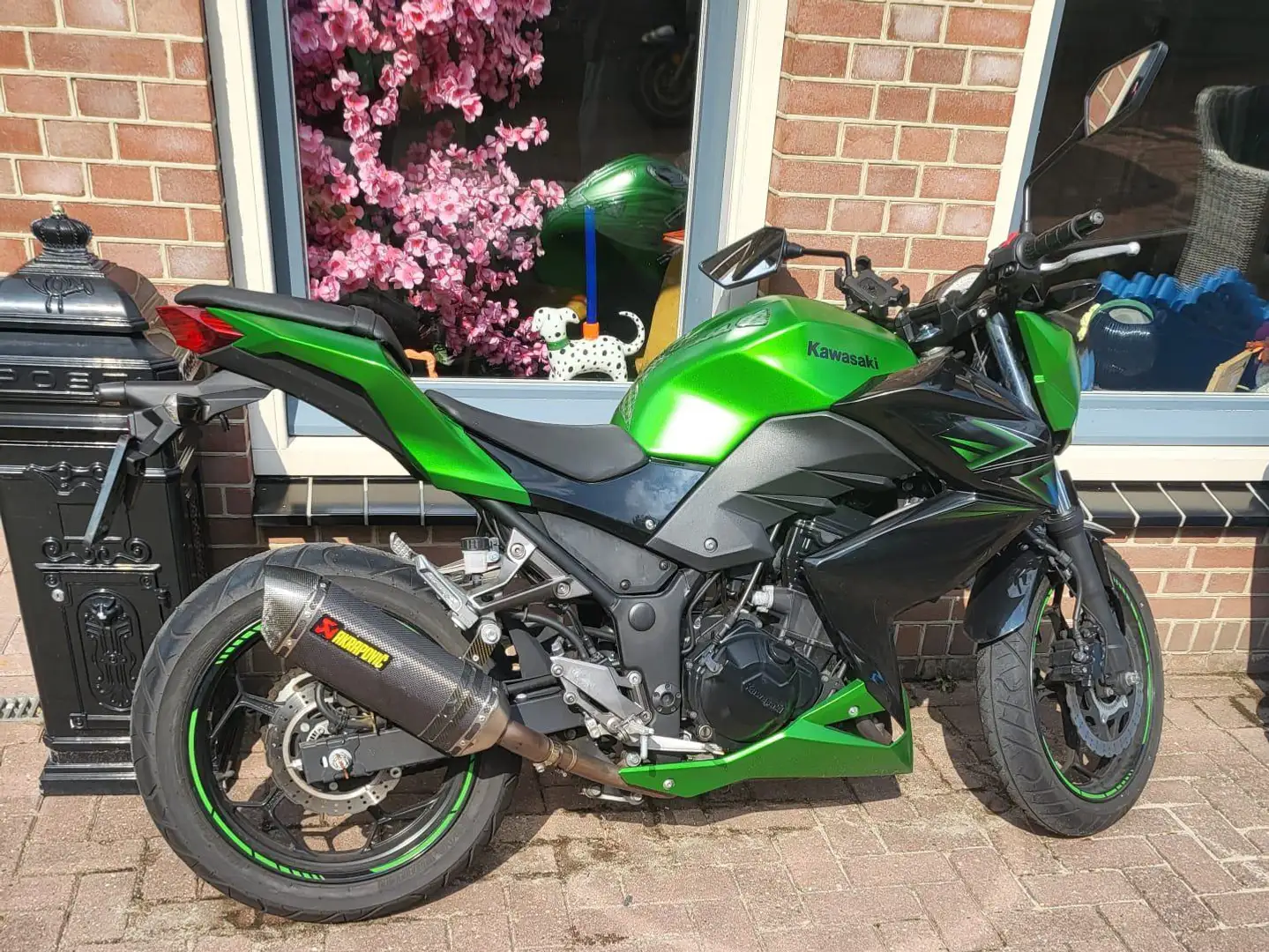 Kawasaki Z 300 Performance Z300 AKRAPOVIC Noir - 1