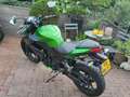 Kawasaki Z 300 Performance Z300 AKRAPOVIC Noir - thumbnail 11