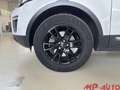 Land Rover Range Rover Evoque Range Rover Evoque 2.0 TD4 150 CV Bianco - thumbnail 6