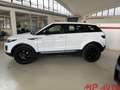 Land Rover Range Rover Evoque Range Rover Evoque 2.0 TD4 150 CV Bianco - thumbnail 7