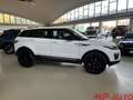 Land Rover Range Rover Evoque Range Rover Evoque 2.0 TD4 150 CV Bianco - thumbnail 5
