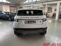 Land Rover Range Rover Evoque Range Rover Evoque 2.0 TD4 150 CV Bianco - thumbnail 4