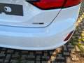 Ford Fiesta 1.0 Ecoboost Hybrid 125 CV MY23 5 porte Titanium Bianco - thumbnail 9