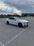 BMW 420 420d xDrive Coupe Aut. Weiß - thumbnail 9
