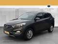 Hyundai TUCSON 2.0 CRDi DPF Intro Edition Kam.*KlimaA*LM Braun - thumbnail 3