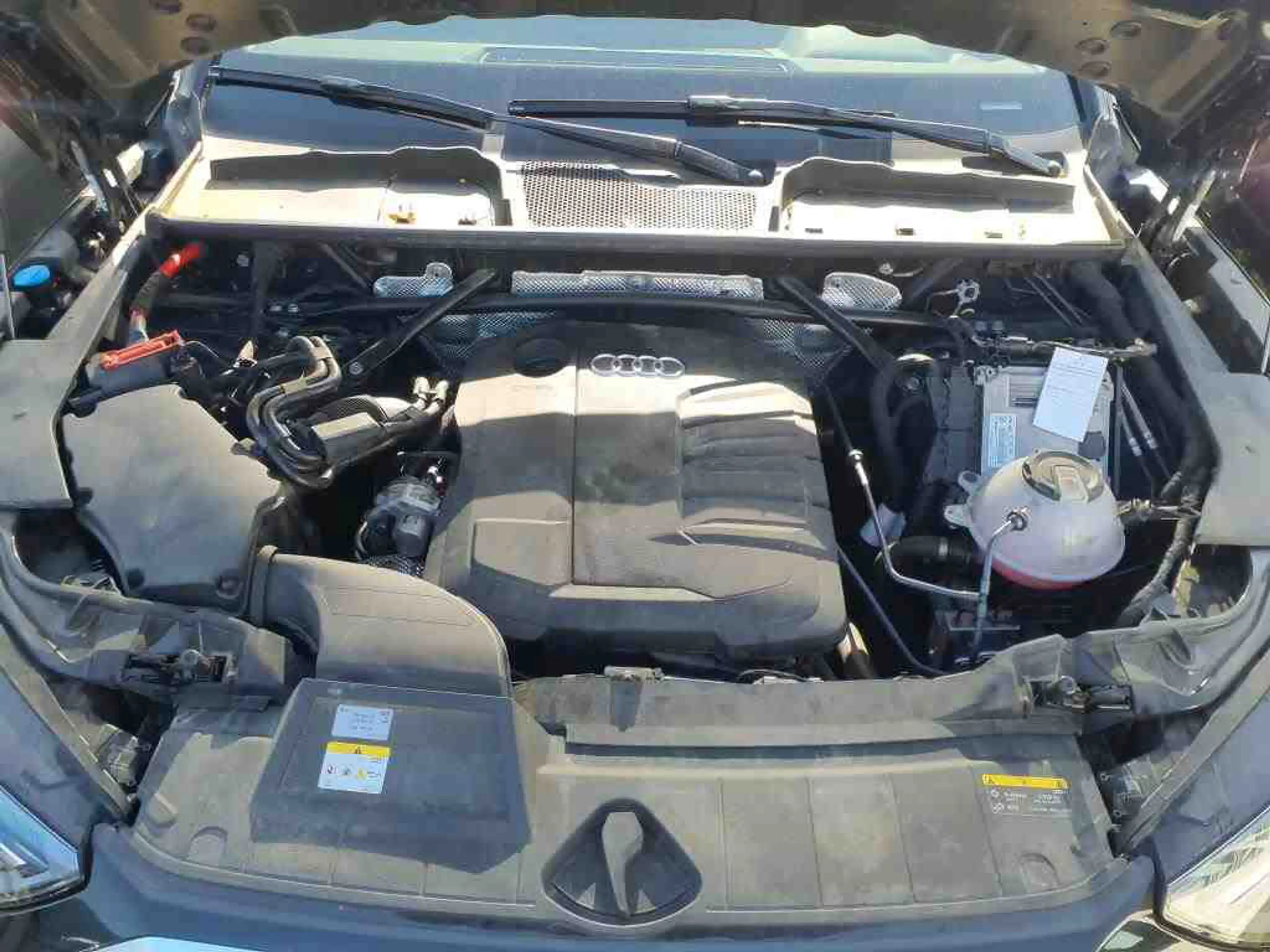 Audi Q5 — photo 10