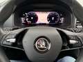 Skoda Karoq Tour 1.5 TSI ACT DSG Navi Pannoramadach Silber - thumbnail 15