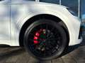 Audi SQ5 TDI tiptronic ACC Matrix LED B&O Pano AHK Co Weiß - thumbnail 4