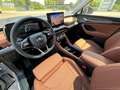 Skoda Kodiaq 2.0 TDI 4x4 DSG Selection Massage/HUD/Trittbrett Gris - thumbnail 12