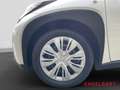 Toyota Aygo X Play Allwetterreifen Rückfahrkamera Weiß - thumbnail 15