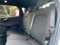 Ford Kuga 2.5 Duratec Plug-in-Hybrid PHEV ST-Line LM Blanc - thumbnail 15