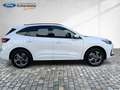 Ford Kuga 2.5 Duratec Plug-in-Hybrid PHEV ST-Line LM Blanc - thumbnail 7