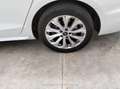 Audi A4 Avant Advanced 35 TDI 120kW S tronic - thumbnail 50