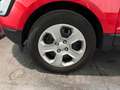 Ford EcoSport EcoSport 2018 1.0 ecoboost Plus 7 ANNI DI GARANZIA Rosso - thumbnail 7