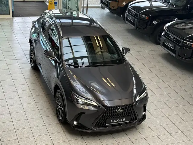 Lexus NX 450h 4 WD-EXECUTIVE-360 KAMERA-HUD-33.590,-