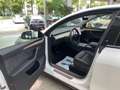 Tesla Model Y Dual Motor Leder Navi RueFaKa Pano Tempo PDC SHZ u Weiß - thumbnail 9