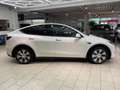 Tesla Model Y Dual Motor Leder Navi RueFaKa Pano Tempo PDC SHZ u Weiß - thumbnail 8