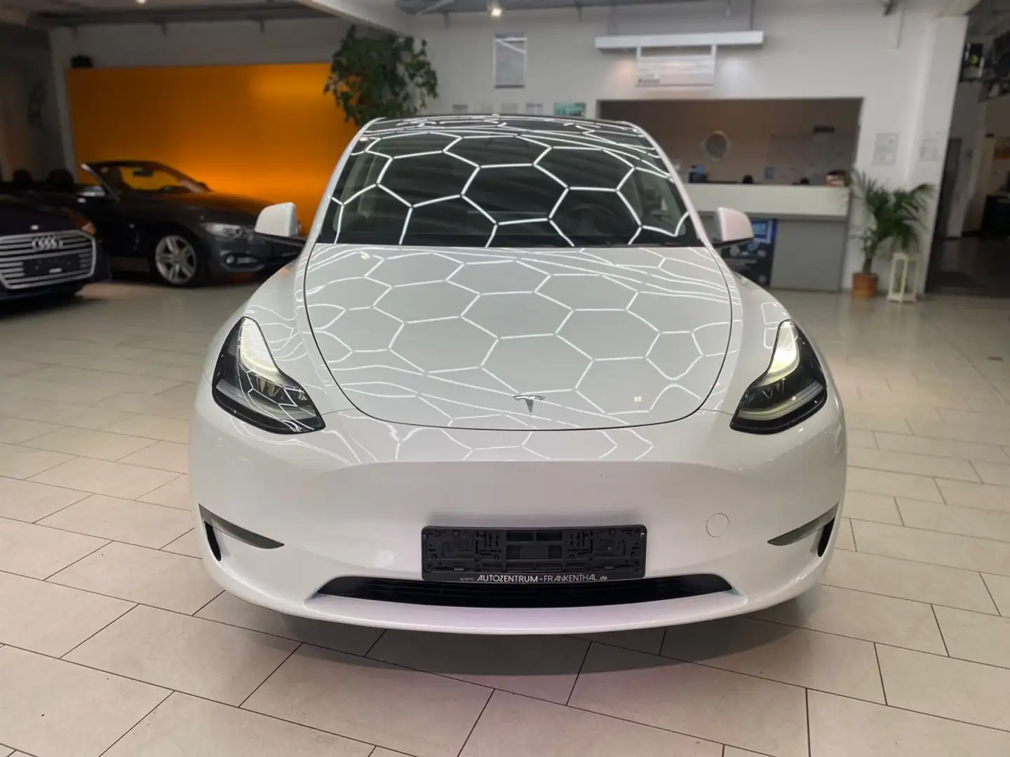Tesla Model Y Dual Motor Leder Navi RueFaKa Pano Tempo PDC SHZ u Weiß - 2