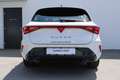 CUPRA Leon SP Kombi 1.5 TSI 150 PS mit vielen Extras! Weiß - thumbnail 5