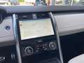 Land Rover Discovery 5 3.0d i6 mhev R-Dynamic SE awd 249cv 7 posti auto Gri - thumbnail 12
