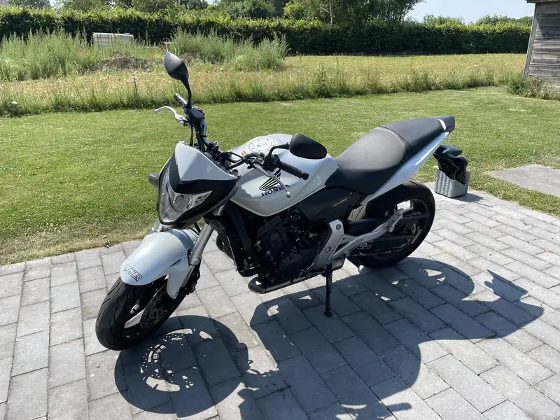 Honda Hornet