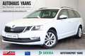 Skoda Octavia 2.0 TDI Style ACC+NAVI+TEILLEDER+PDC+ALU Blanc - thumbnail 1
