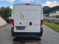 Fiat Ducato 130 L2H2 RS: 3450 mm Weiß - thumbnail 5