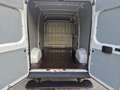 Fiat Ducato 130 L2H2 RS: 3450 mm Weiß - thumbnail 10