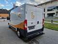 Fiat Ducato 130 L2H2 RS: 3450 mm Weiß - thumbnail 6