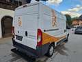 Fiat Ducato 130 L2H2 RS: 3450 mm Weiß - thumbnail 4