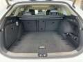Volkswagen Passat Variant 2.0 TDI DSG Elegance ab 3,99% DCC Weiß - thumbnail 8