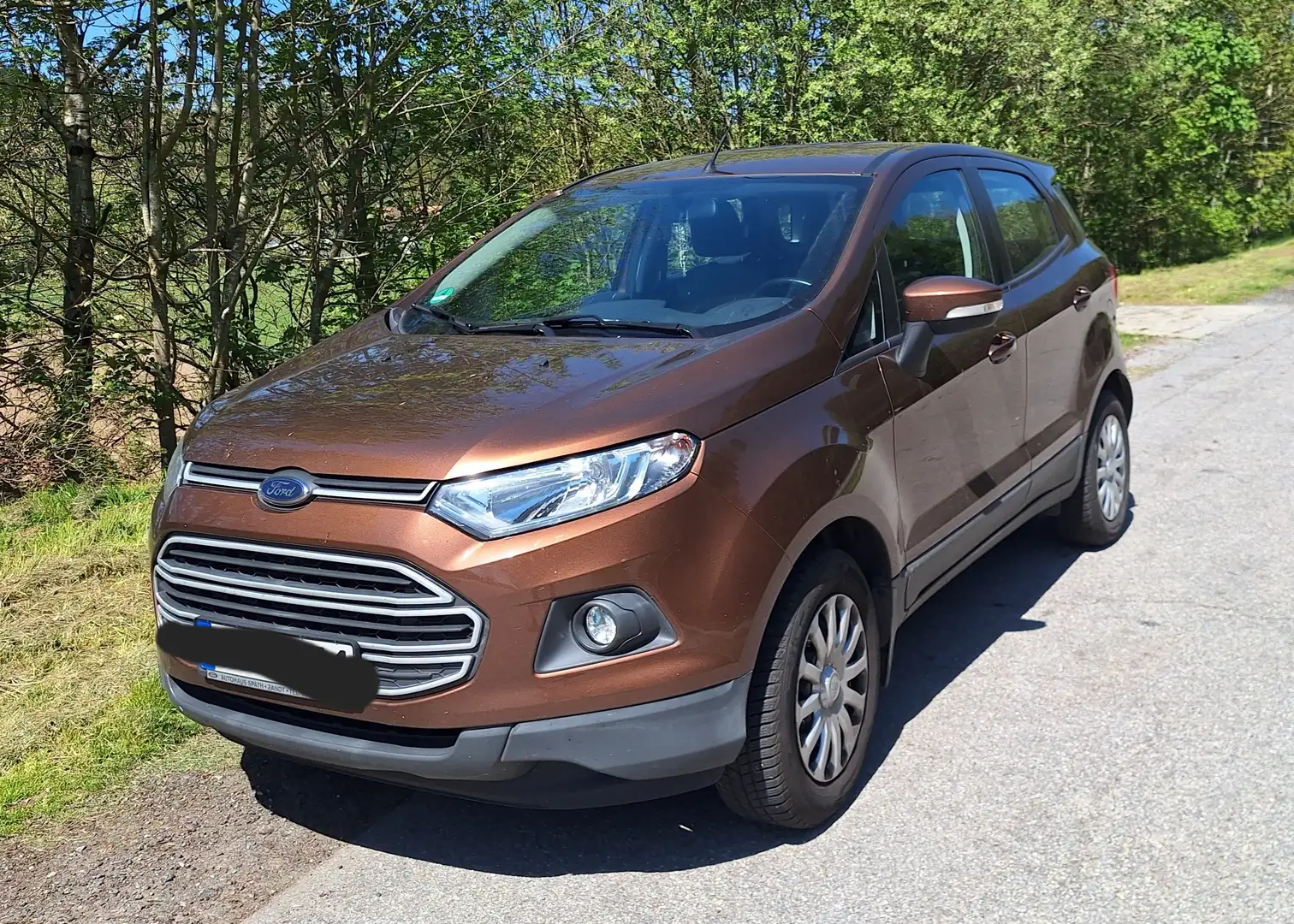 Ford EcoSport ECOSPORT 1.5 TDCi Ecosport S Braun - 1
