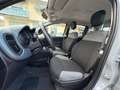Fiat Panda 1.0 HYBRID 70 CV SI A NEOPATENTATI Gris - thumbnail 7