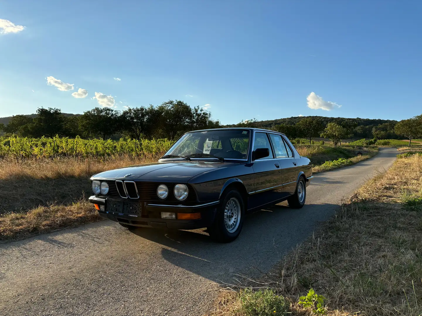 BMW 524 E28 td Modrá - 2